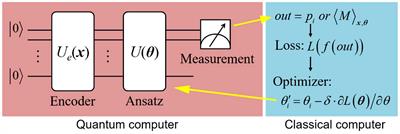 Hybrid quantum-classical convolutional neural network for phytoplankton classification